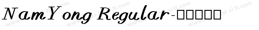 NamYong Regular字体转换
